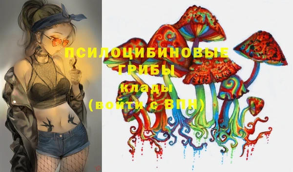 дурь Балахна